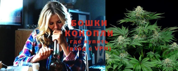 твердый Арсеньев