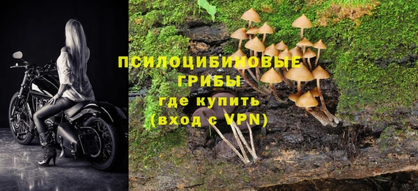 круглые Аркадак